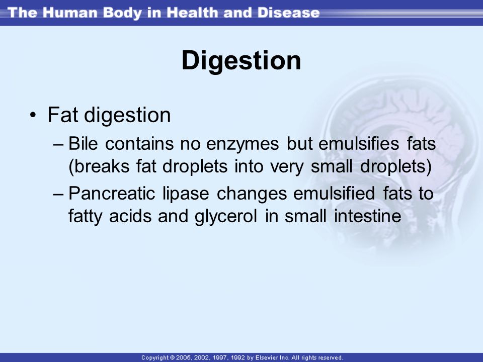 Digestion Fat digestion