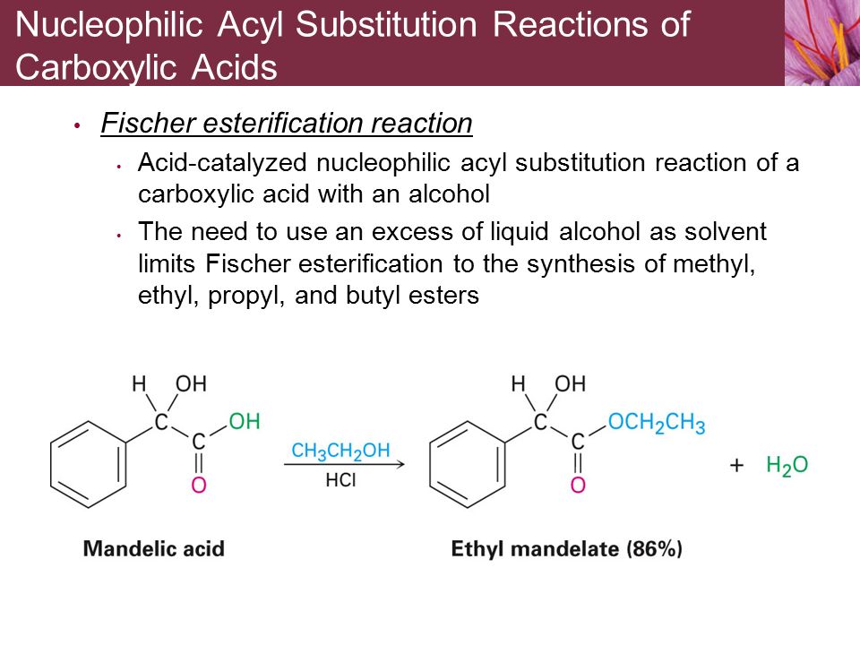 Their derivatives. Substitution Reaction. Fischer esterification of a carboxylic acid. Reactivity of carboxylic acids. Uses of carboxylic acids.
