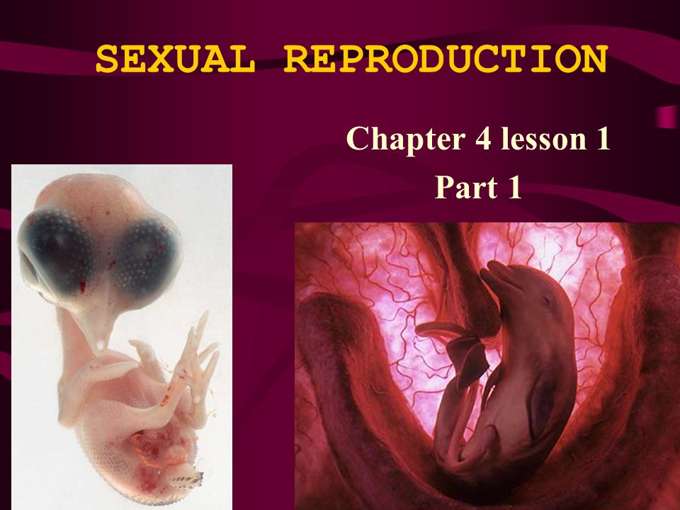 Reproduction In Organism And Sexual Reproduction In Flowering Plants