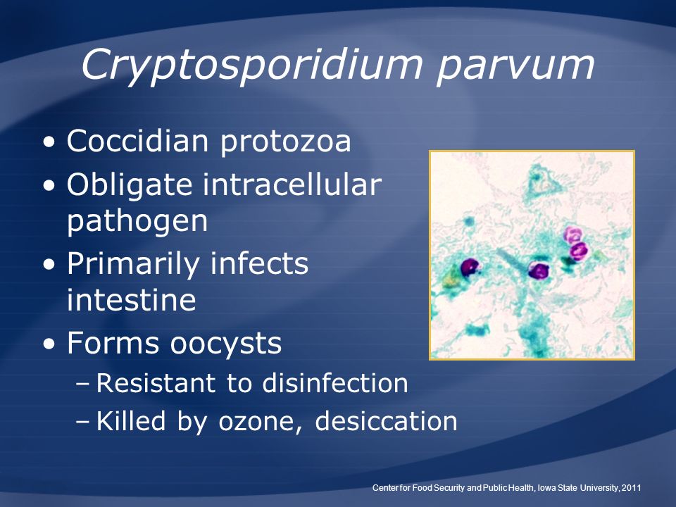 Mogliche Ursachen von Cryptosporidium
