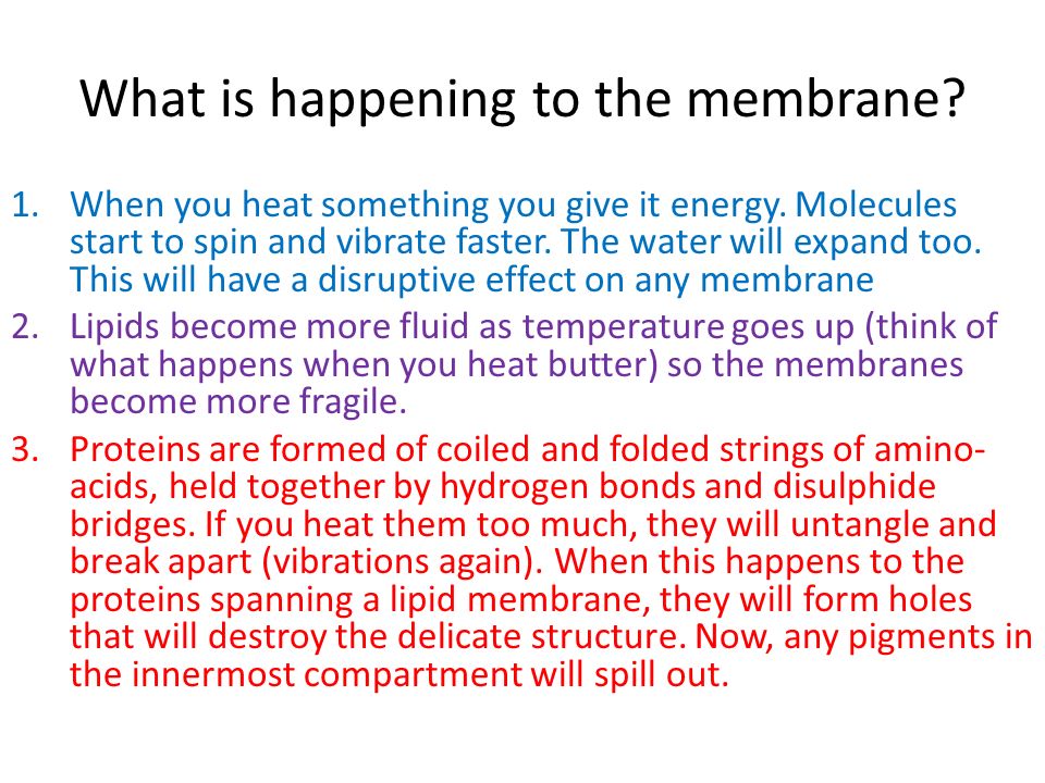 effect of temperature on cell membrane