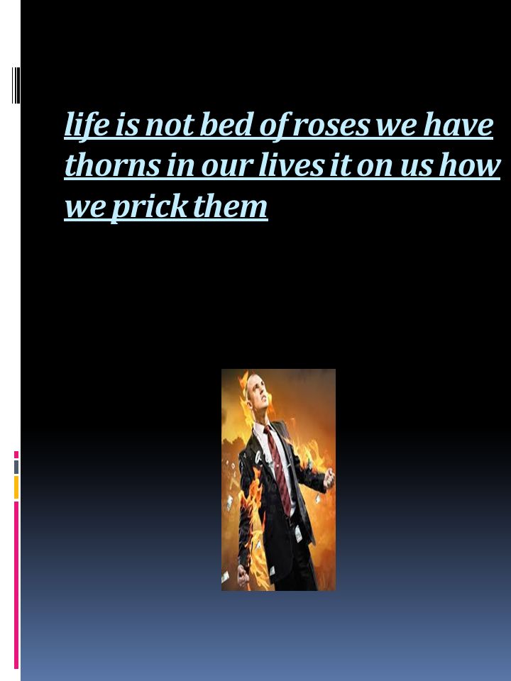 Life is not A Bed of Roses - ppt download