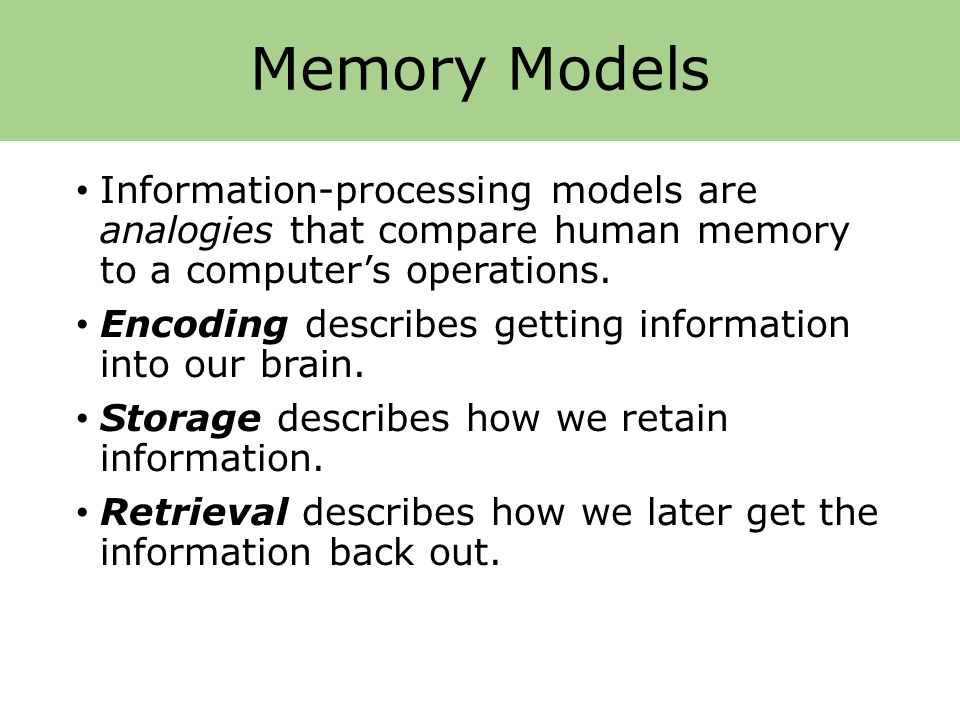 compare human brain computer memory