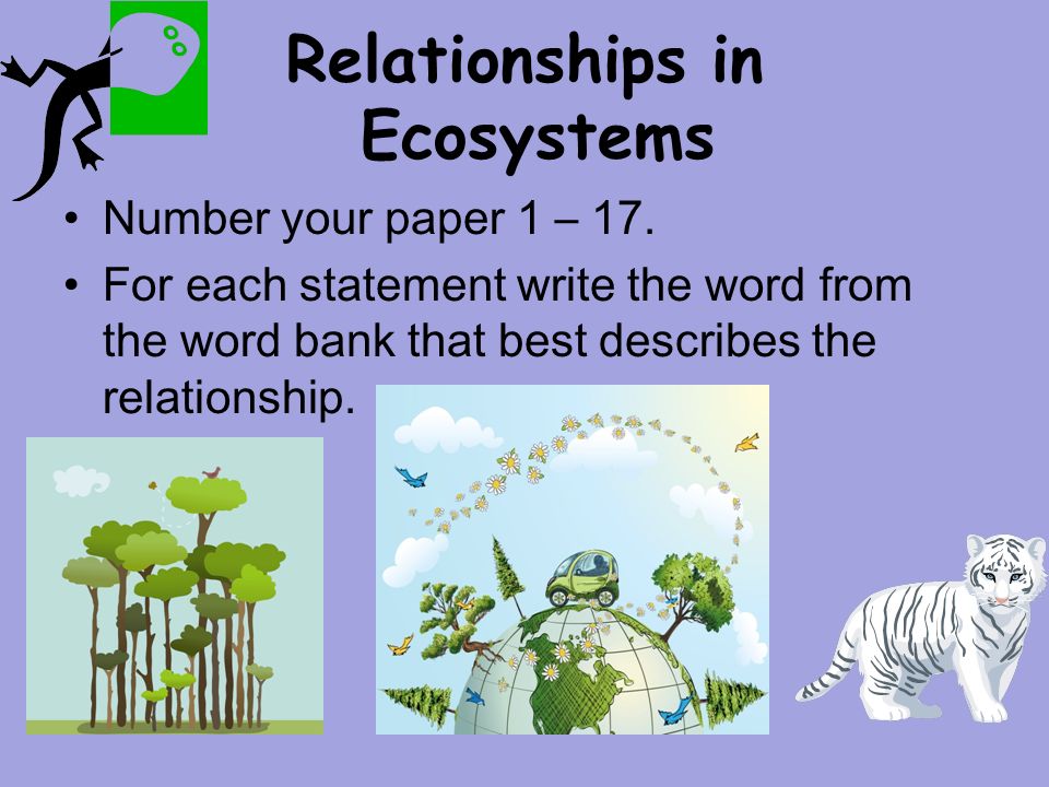 Relationships in Ecosystems