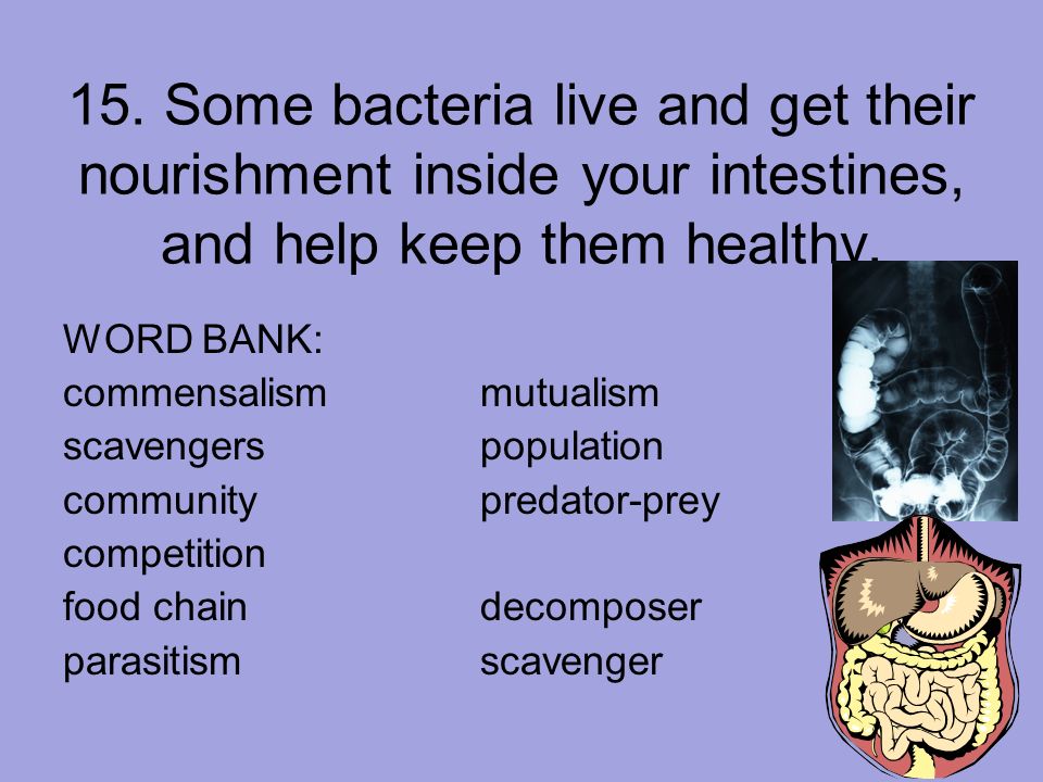 15. Some bacteria live and get their nourishment inside your intestines, and help keep them healthy.