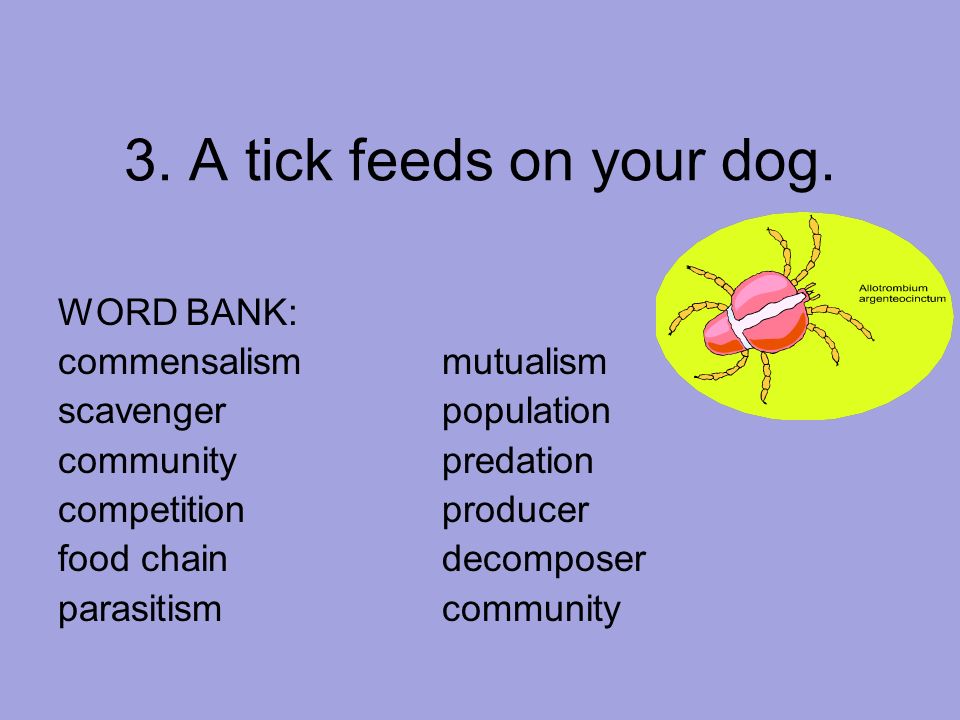 3. A tick feeds on your dog. WORD BANK: commensalism mutualism