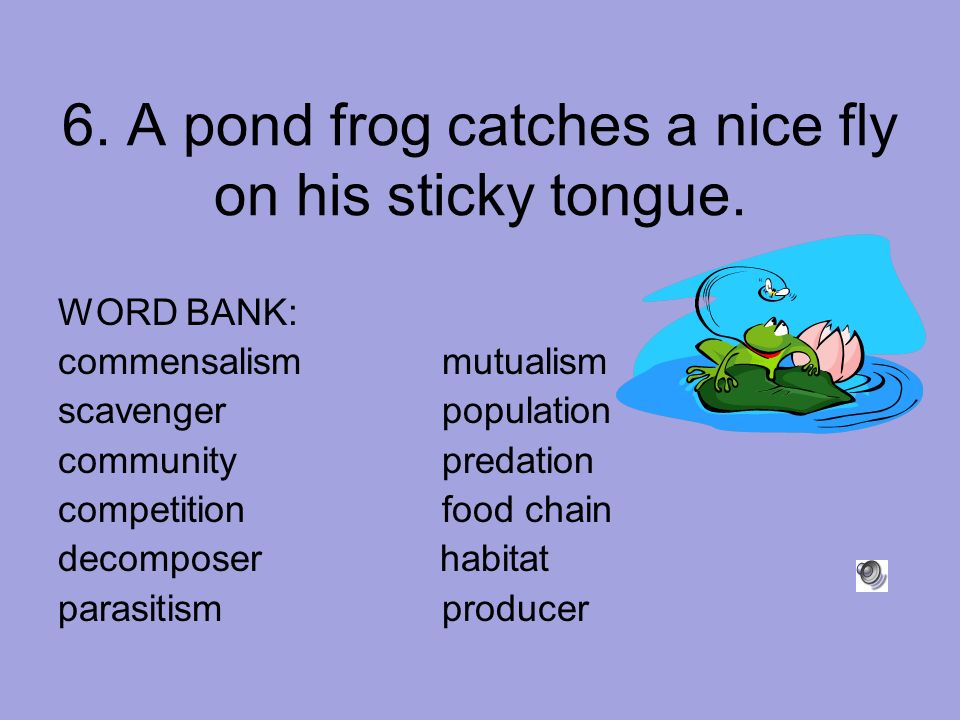 6. A pond frog catches a nice fly on his sticky tongue.