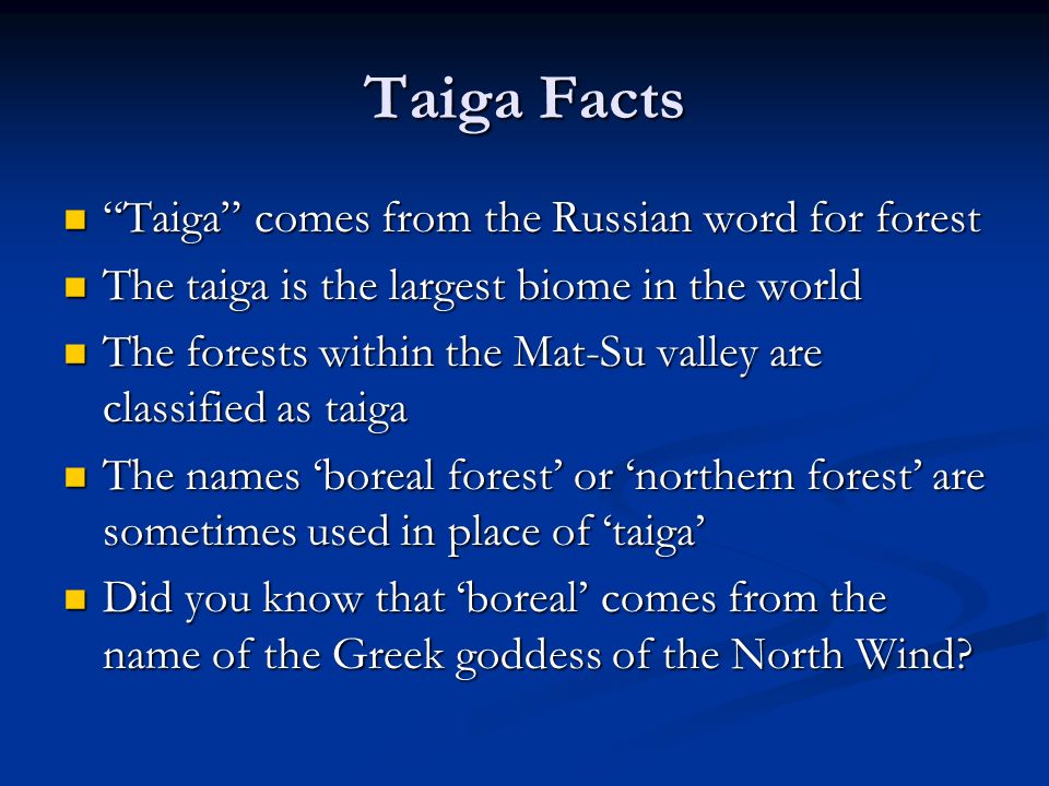 TAIGA The Boreal Forest - ppt download