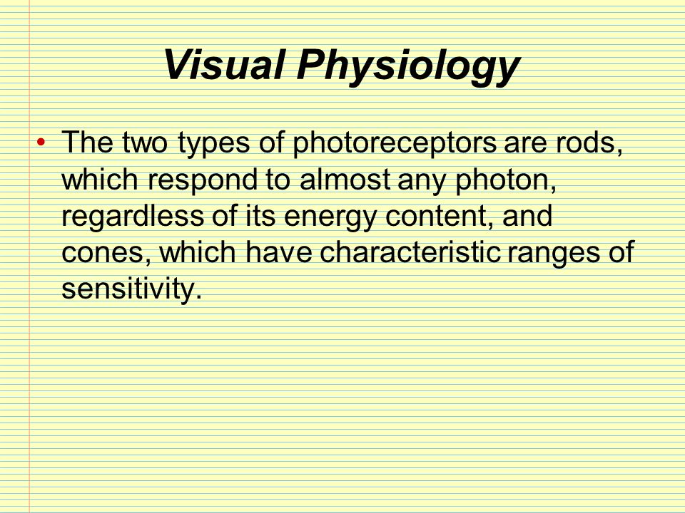 Chapter 17: The Special Senses - ppt download