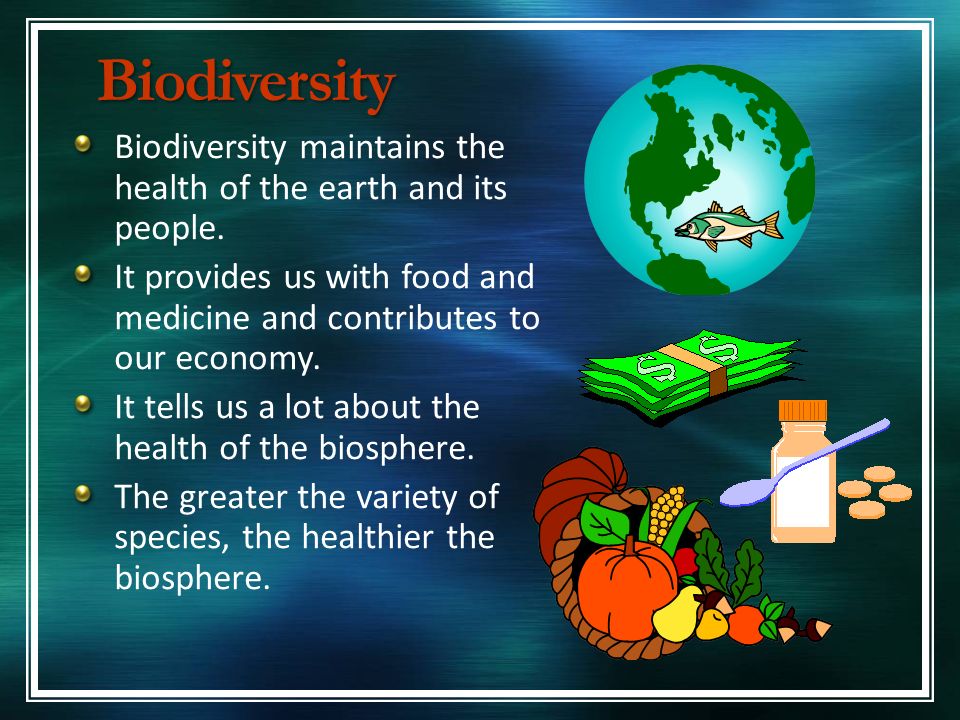 2 to does biodiversity form how contribute the economy Economics of