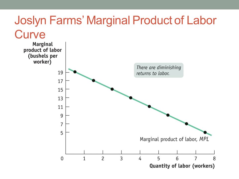 Joslyn Farms’ Marginal Product of Labor Curve