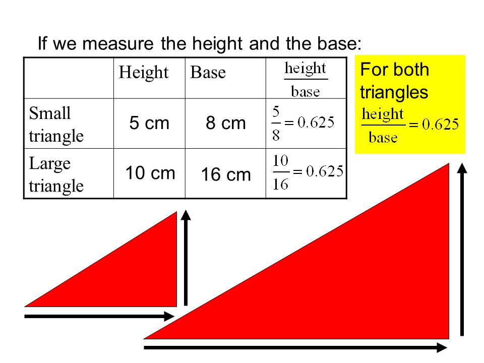 If we measure the height and the base: