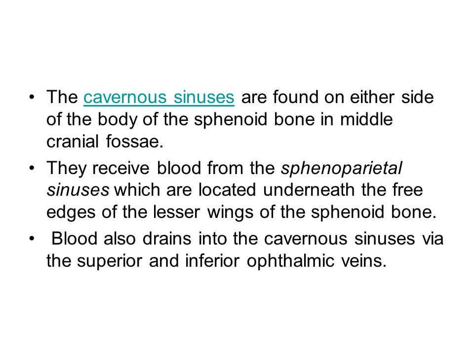 The cavernous sinuses are found on either side of the body of the sphenoid bone in middle cranial fossae.
