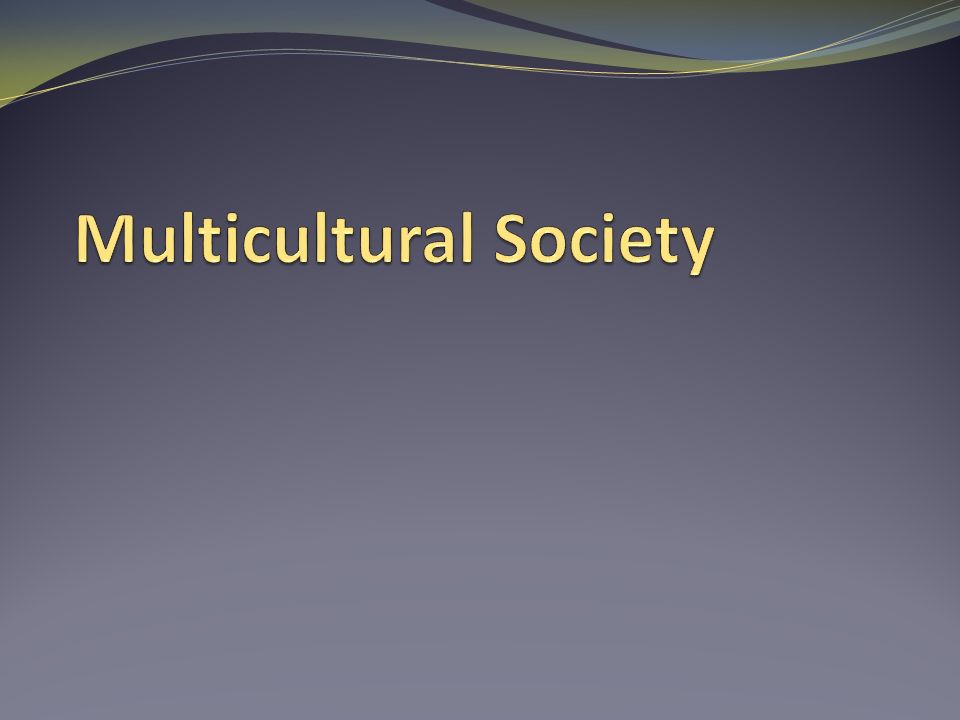Multicultural Society