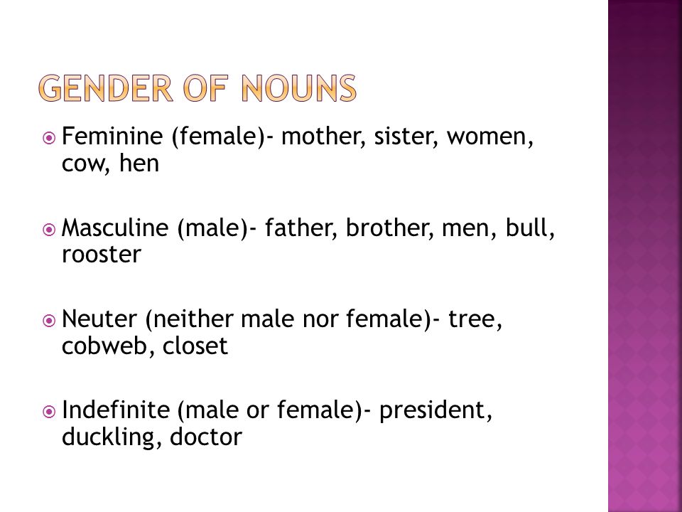 Gender of nouns Feminine (female)- mother, sister, women, cow, hen