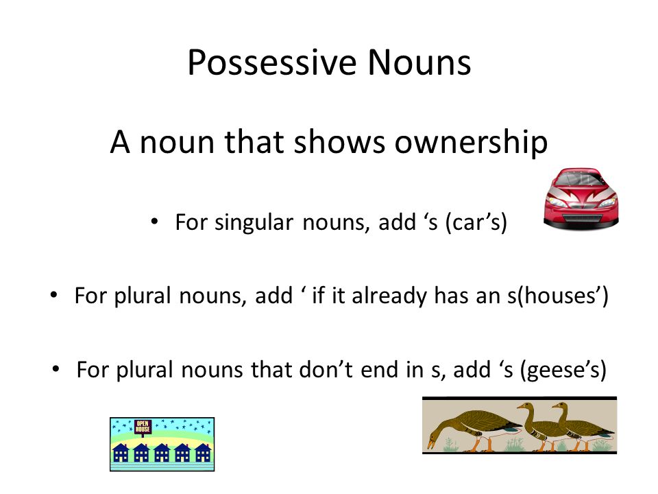 Possessive Nouns A noun that shows ownership