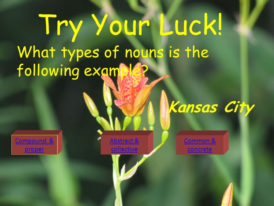 Try Your Luck! What types of nouns is the following example