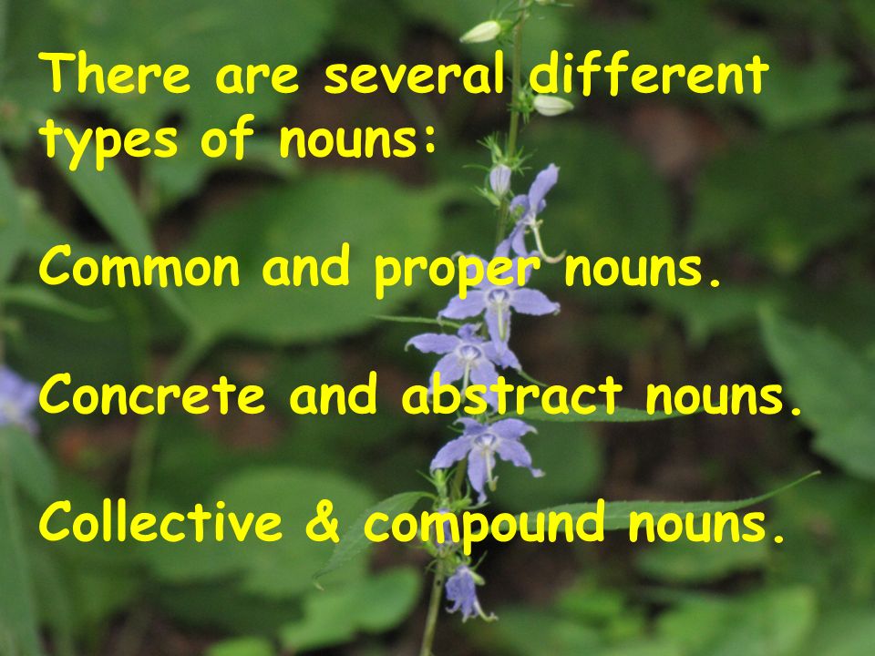 There are several different types of nouns: