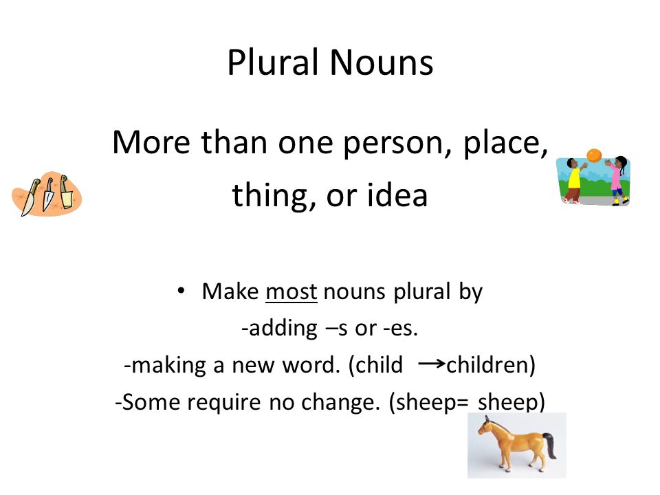Plural Nouns More than one person, place, thing, or idea