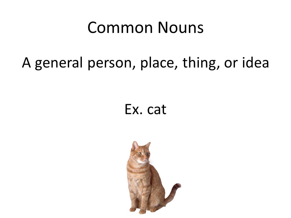 A general person, place, thing, or idea Ex. cat
