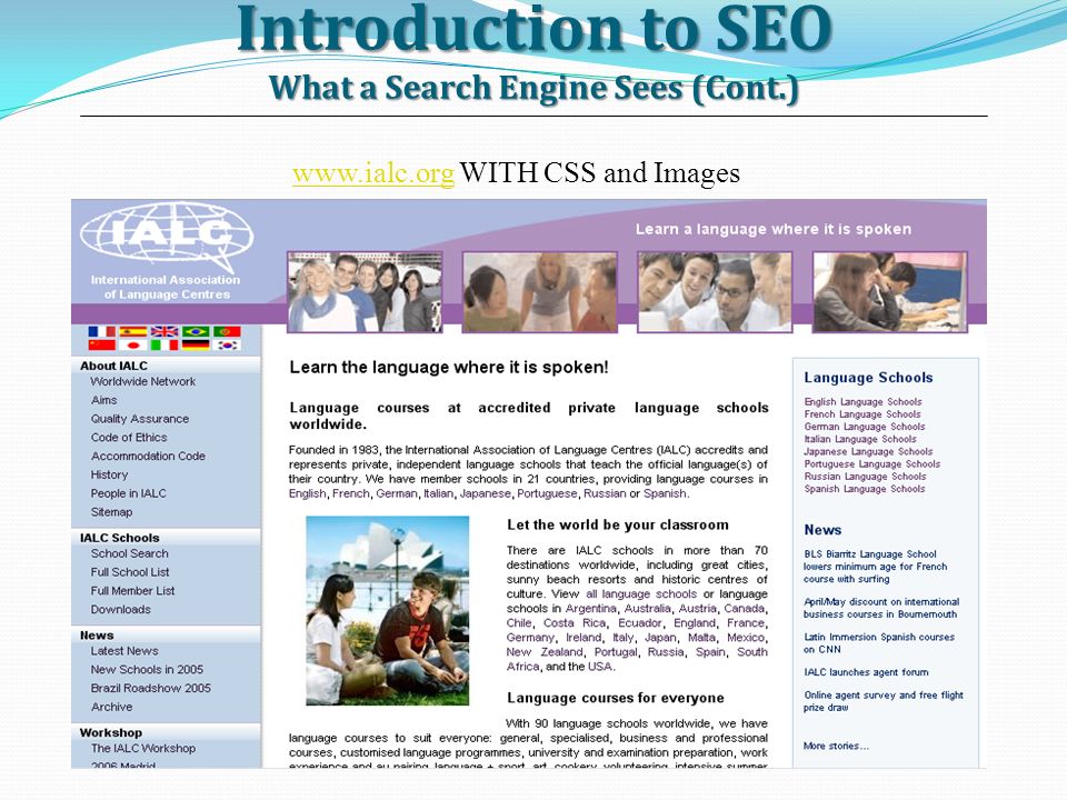 Introduction to SEO What a Search Engine Sees (Cont.)