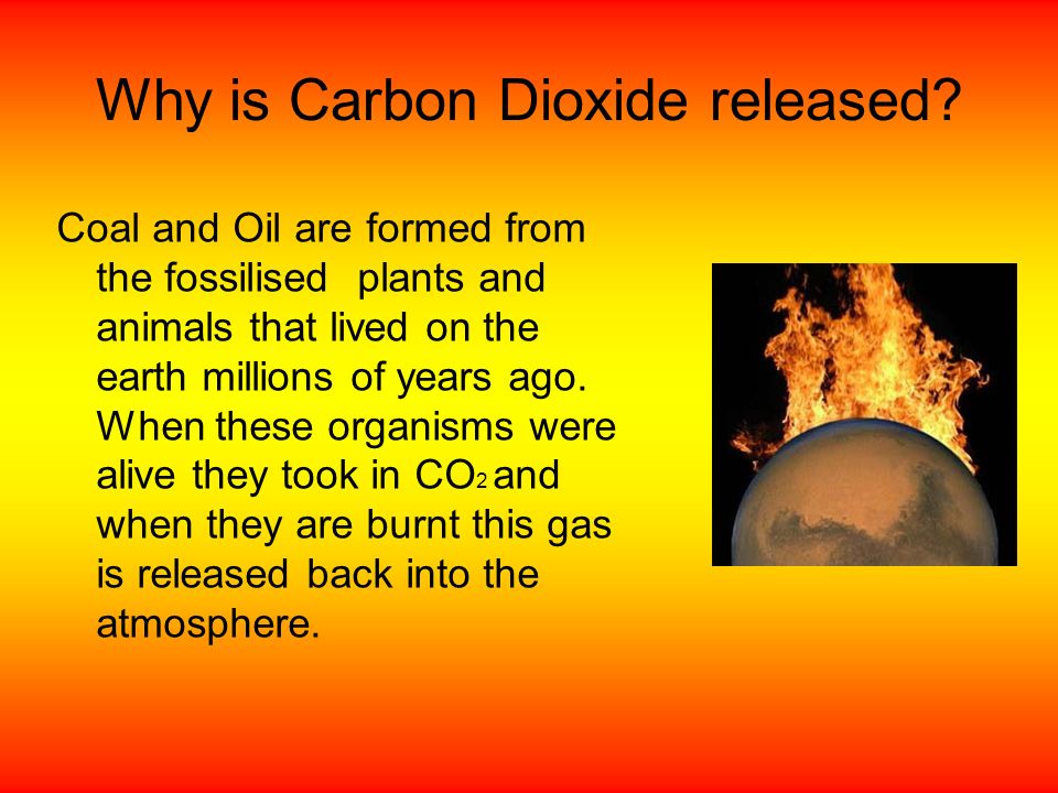 Why is Carbon Dioxide released