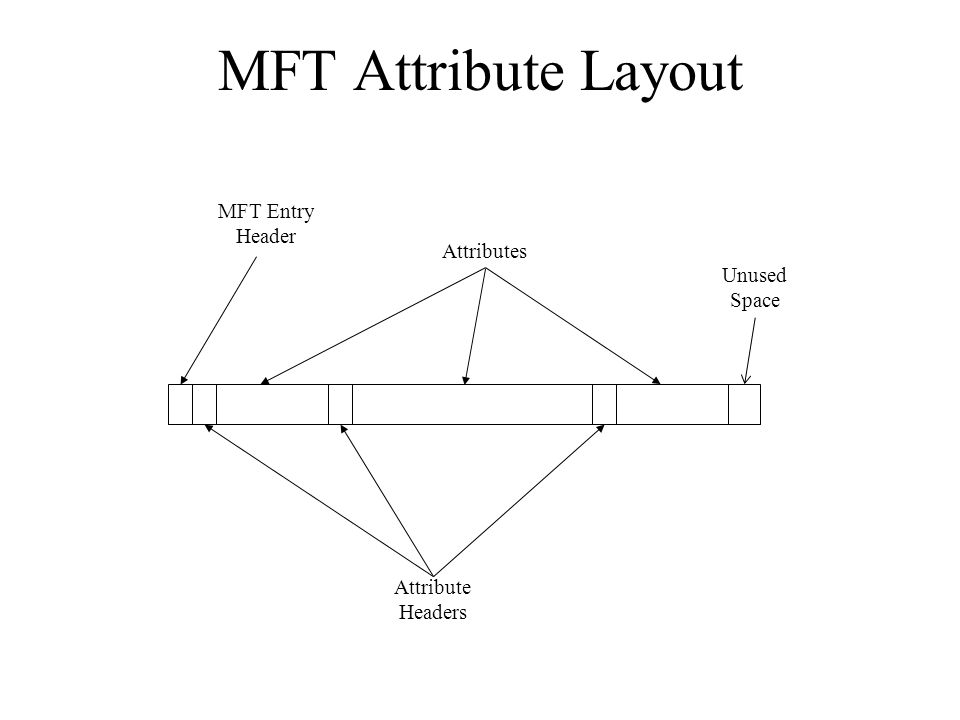 Attributes Attributes