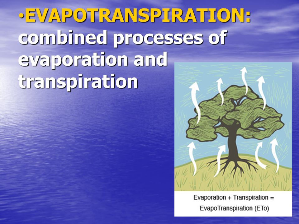 EVAPOTRANSPIRATION: combined processes of evaporation and transpiration