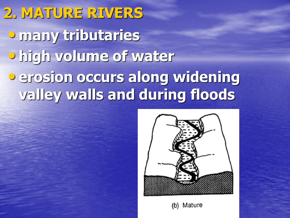 2. MATURE RIVERS many tributaries. high volume of water.