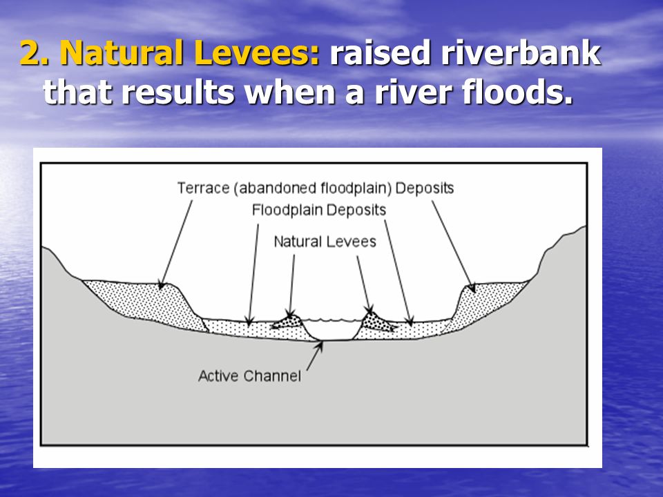 2. Natural Levees: raised riverbank that results when a river floods.