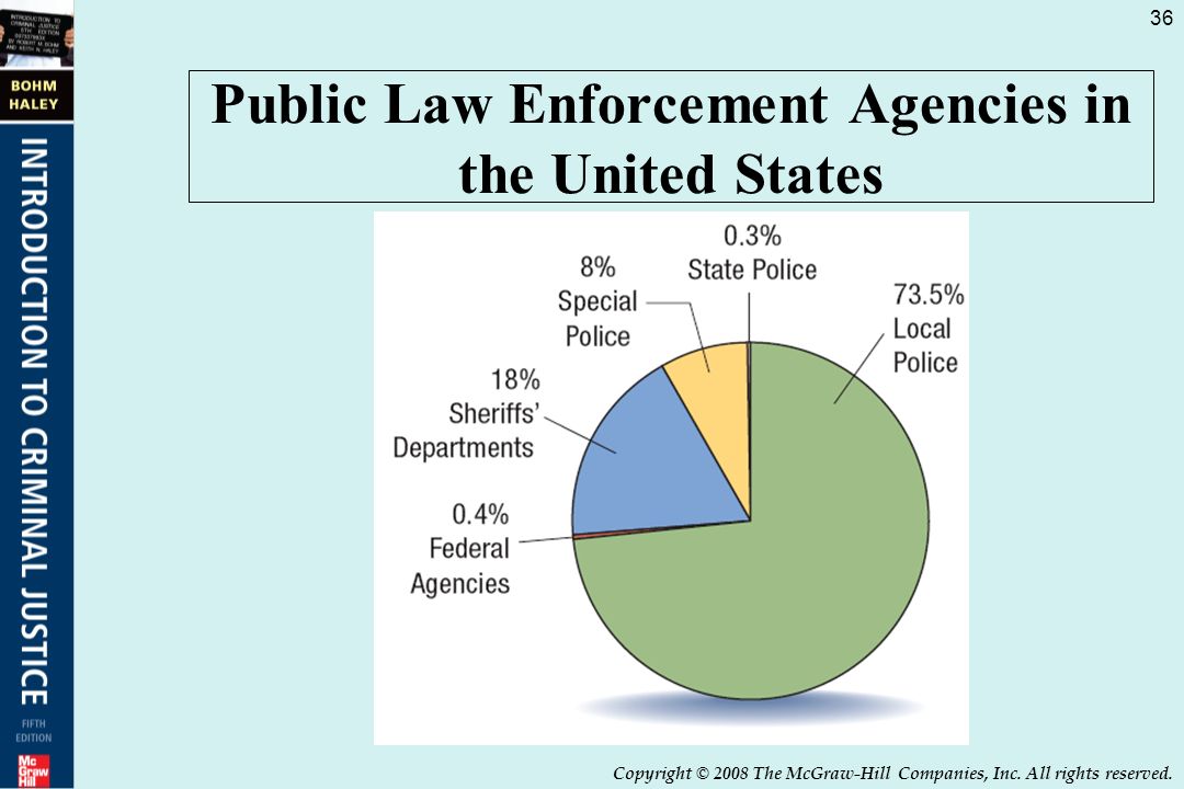 Hierarchy Of Law Enforcement Chart