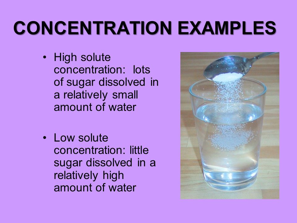 concentration examples