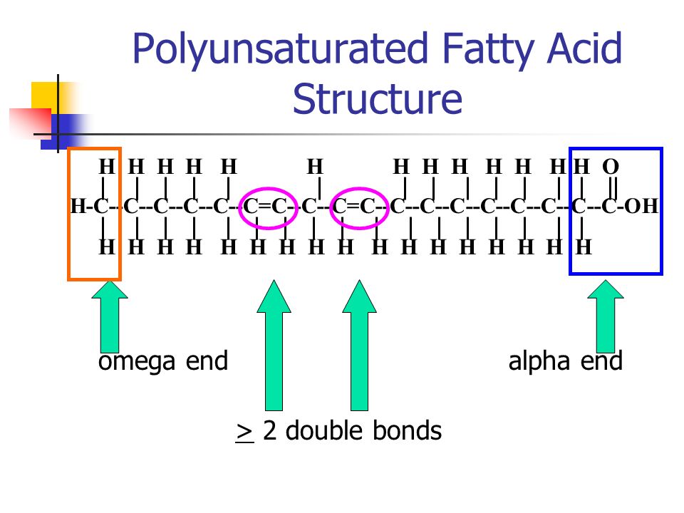 Polyunsaturated Fatty Acid Structure.
