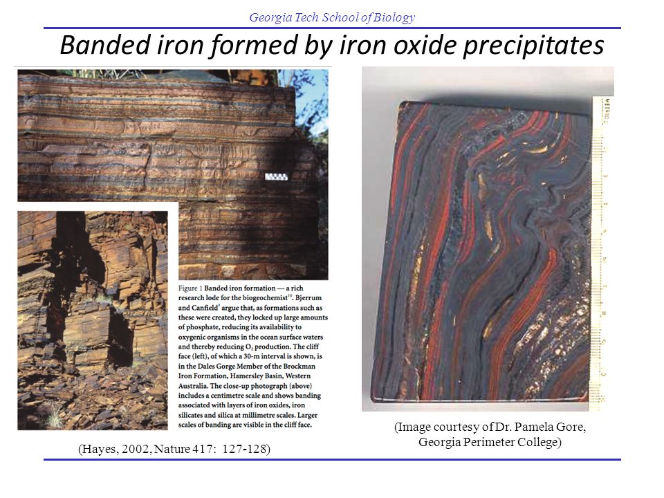Banded iron formed by iron oxide precipitates