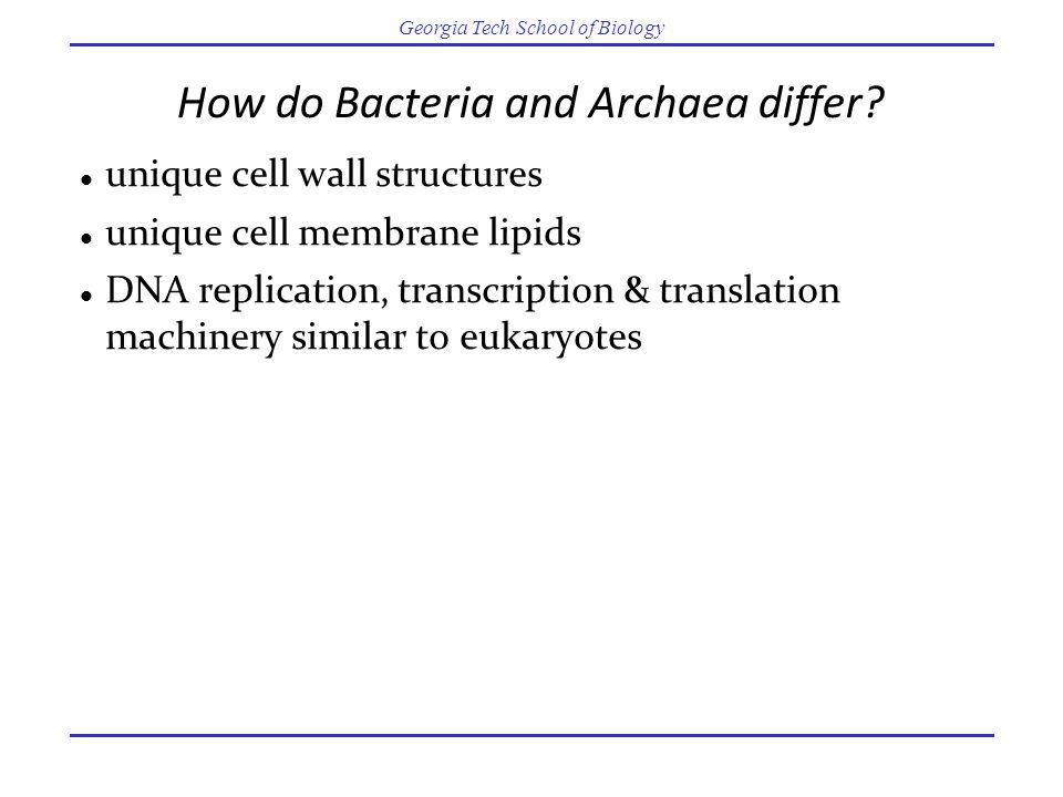 How do Bacteria and Archaea differ