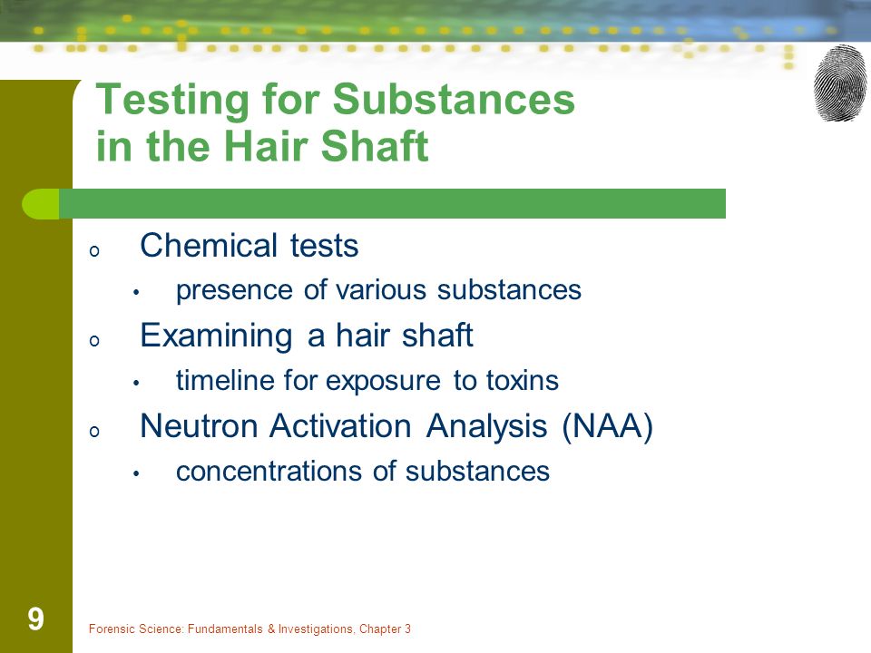 The Life Cycle of Hair Hair proceeds through 3 stages as it develops: - ppt  video online download