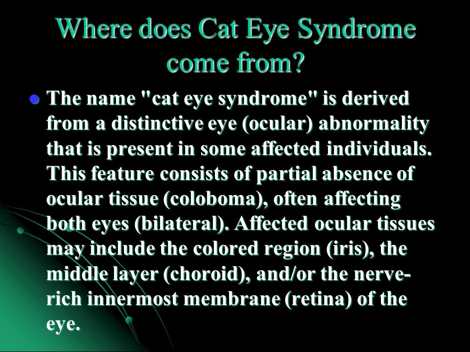 cat eye syndrome statistics