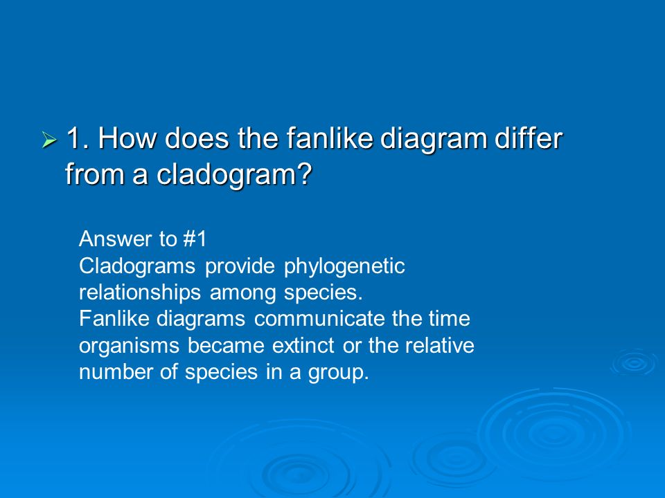 How does the fanlike diagram differ from a cladogram