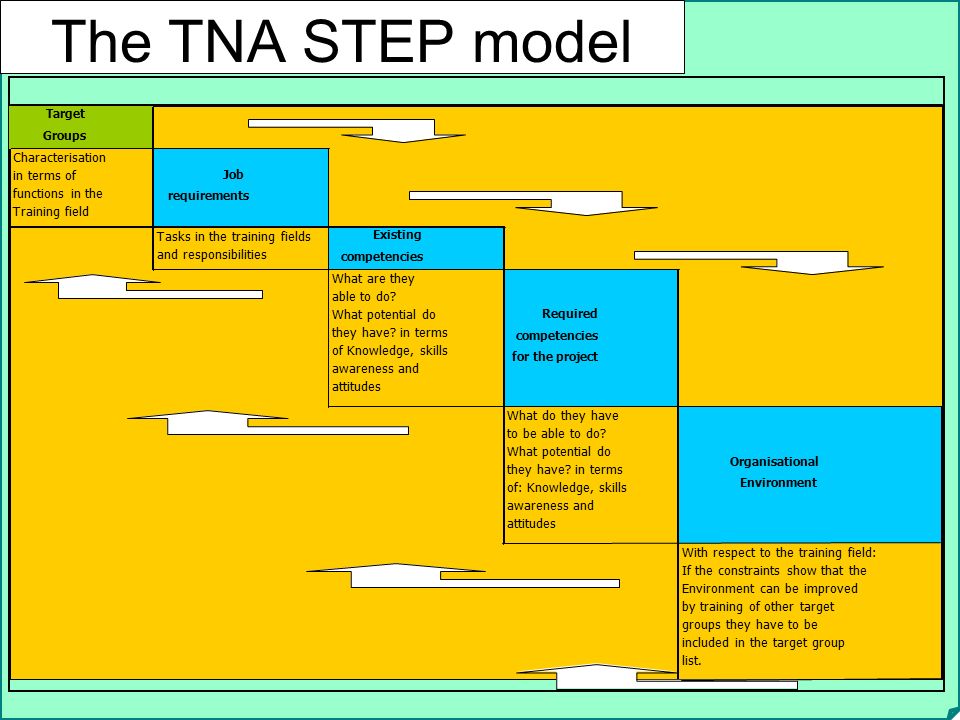 The TNA STEP model Characterisation in terms of functions in the