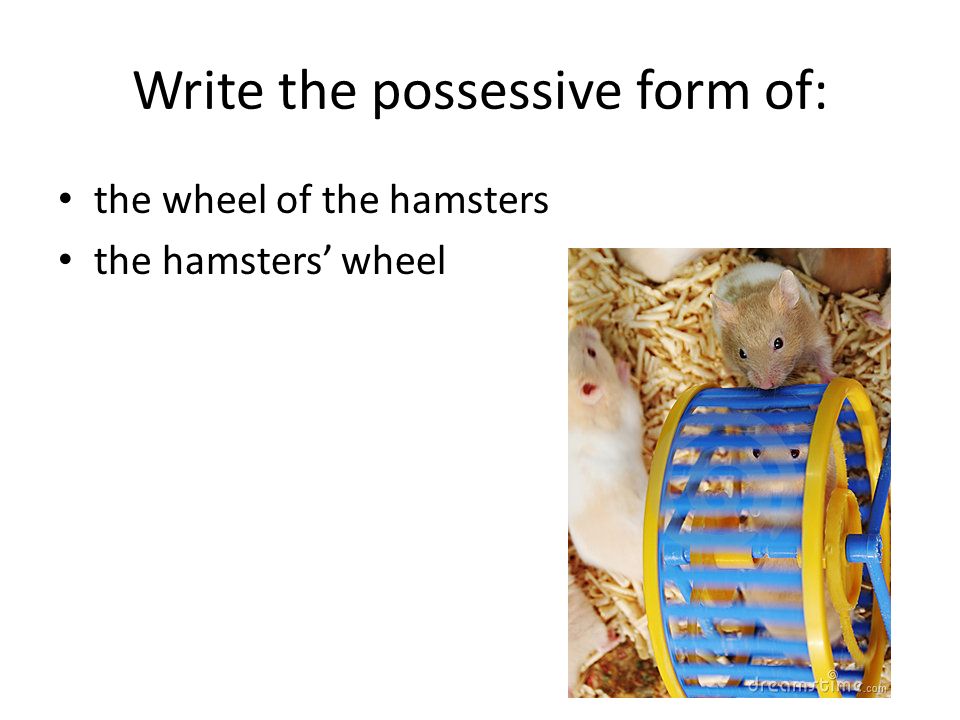 Write the possessive form of: