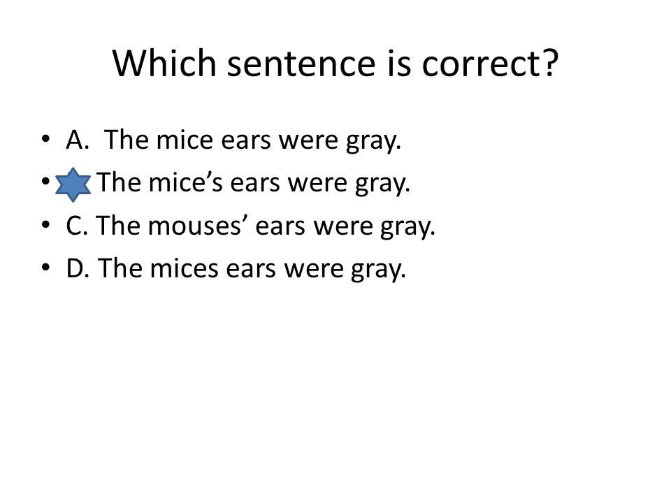 Which sentence is correct