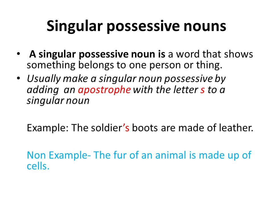 Singular possessive nouns