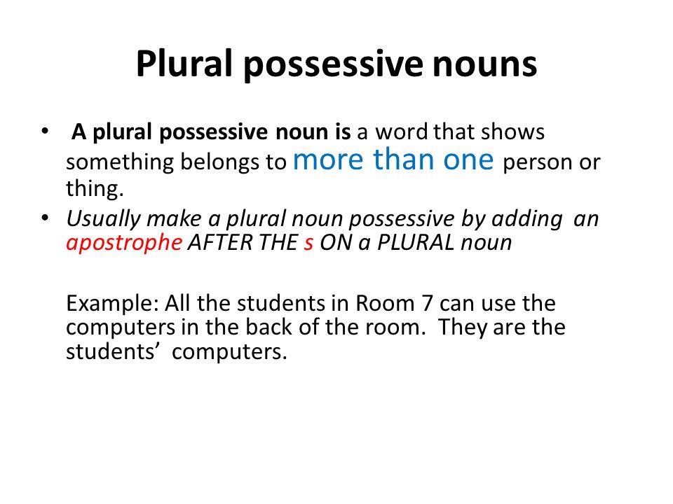 Plural possessive nouns