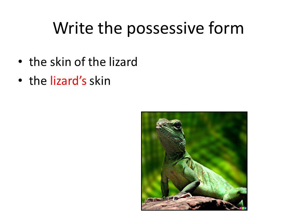 Write the possessive form