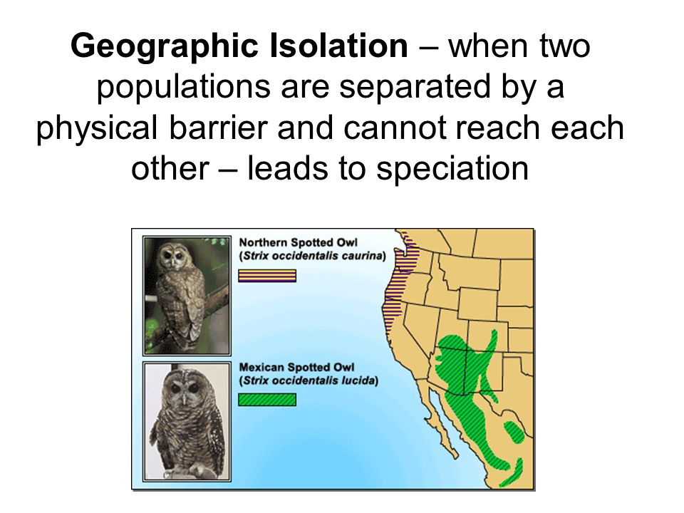Geographic Isolation – when two populations are separated by a physical barrier and cannot reach each other – leads to speciation