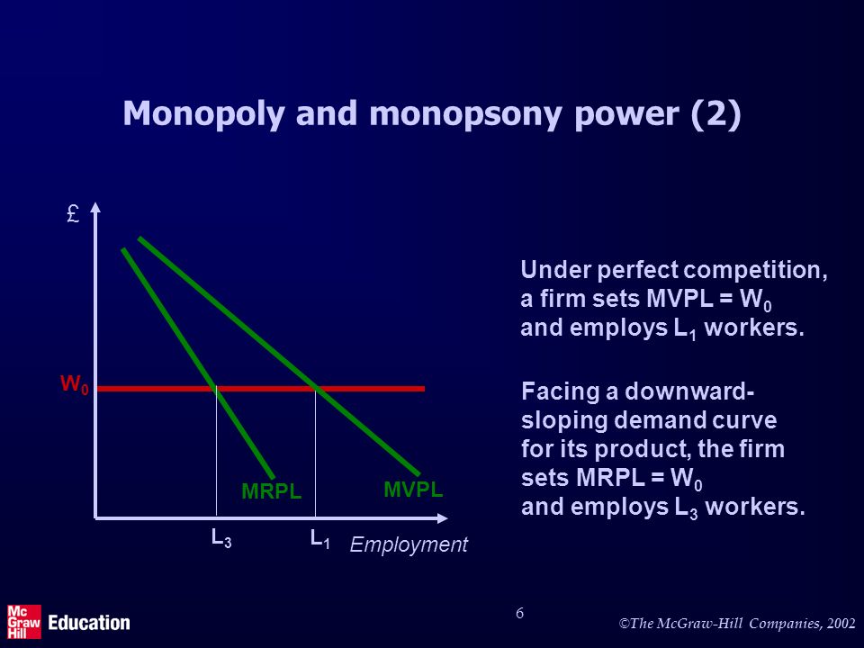 Monopoly and monopsony power (3)