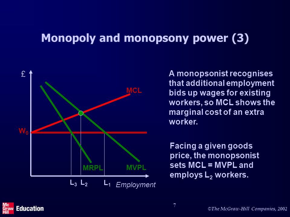 Monopoly and monopsony power (4)
