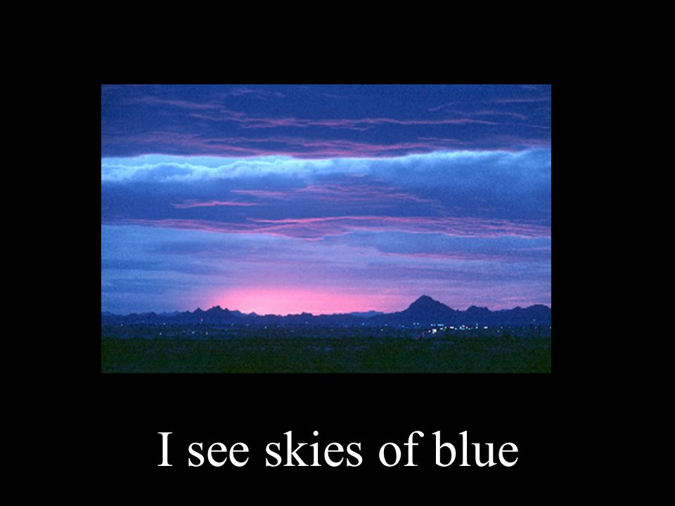 I see skies of blue