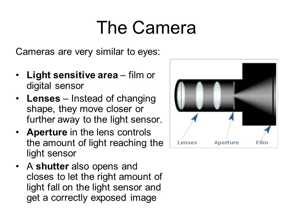 The Camera Cameras are very similar to eyes:
