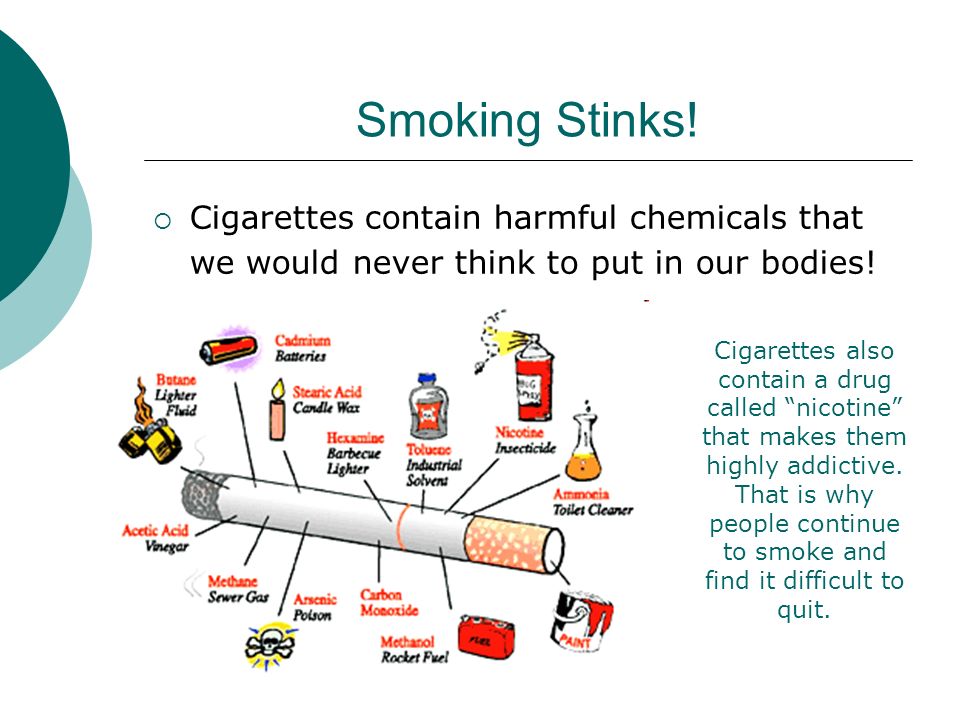 Smoking Stinks! Cigarettes contain harmful chemicals that we would never think to put in our bodies!